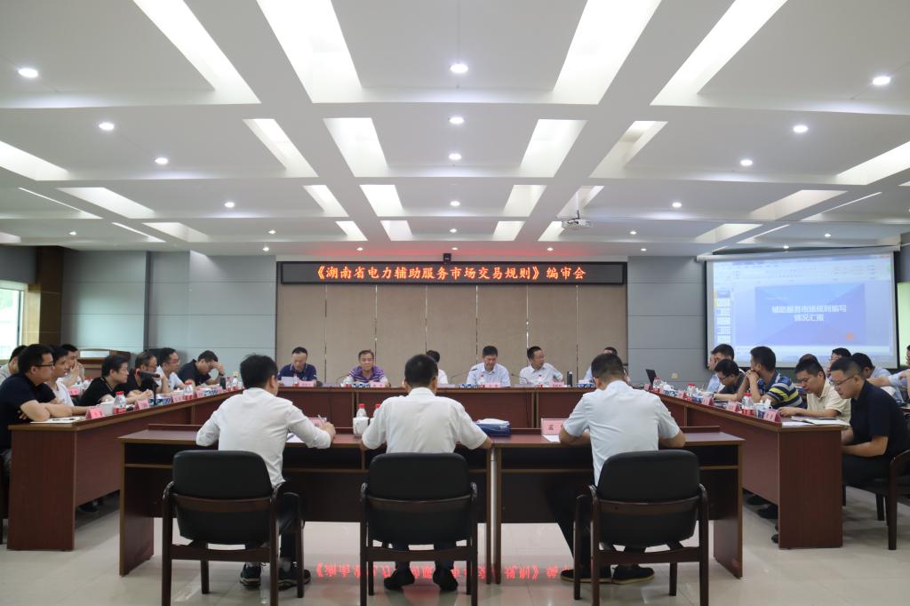 《湖南省电力辅助服务市场交易规则》编审会在株洲航电分乐动平台_乐动（中国）召开