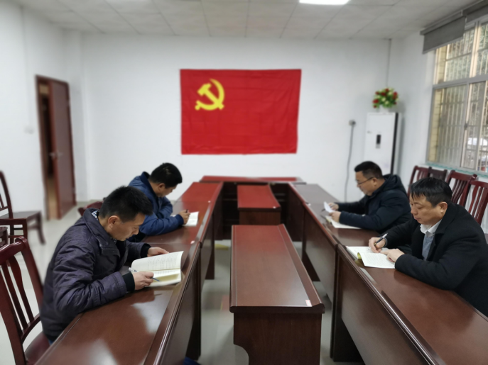 湖南鸟儿巢水电站发电有限乐动平台_乐动（中国）党支部正式成立