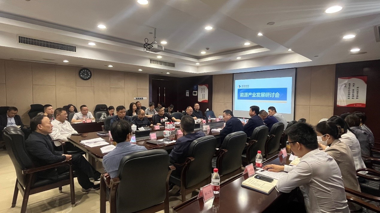 乐动平台_乐动（中国）召开能源产业发展研讨会