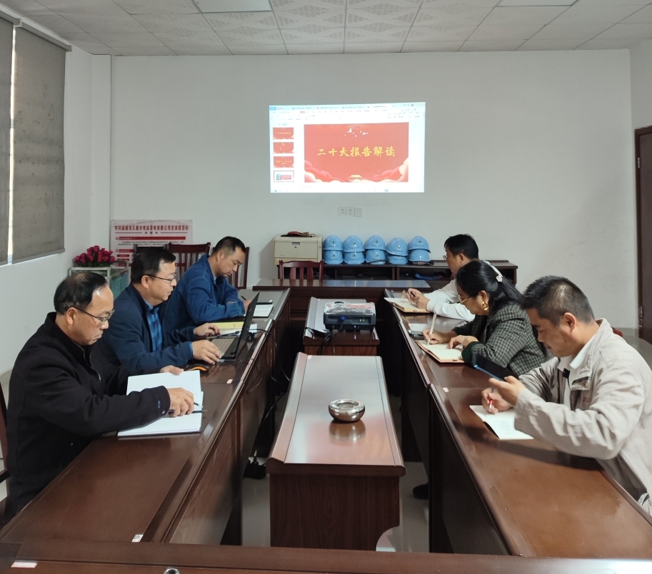 鸟儿巢乐动平台_乐动（中国）党支部开展“一课一片一实践”主题党日活动